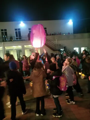 Activitatea interdisciplinară "Felinarele speranței" — fotografia 5