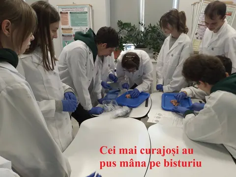 Viitori medici în acțiune! — fotografia 3