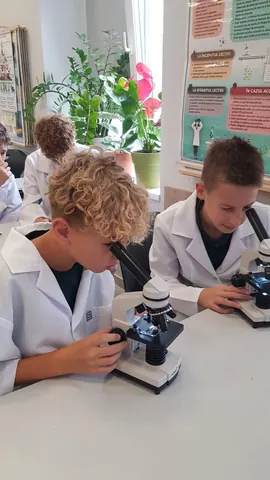Activitate extracurriculară ȘTED, clasele a VI-a, septembrie 2024 — fotografia 4