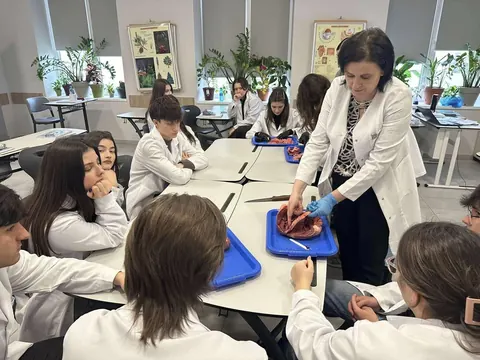 Activitate practică – lecția de biologie, Da Vinci — fotografia 3